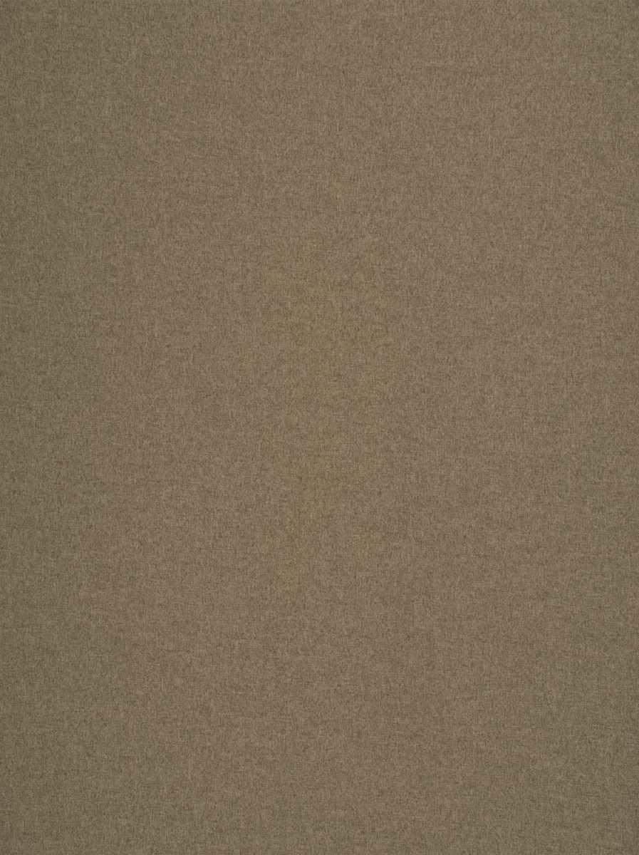 Felty – Camel