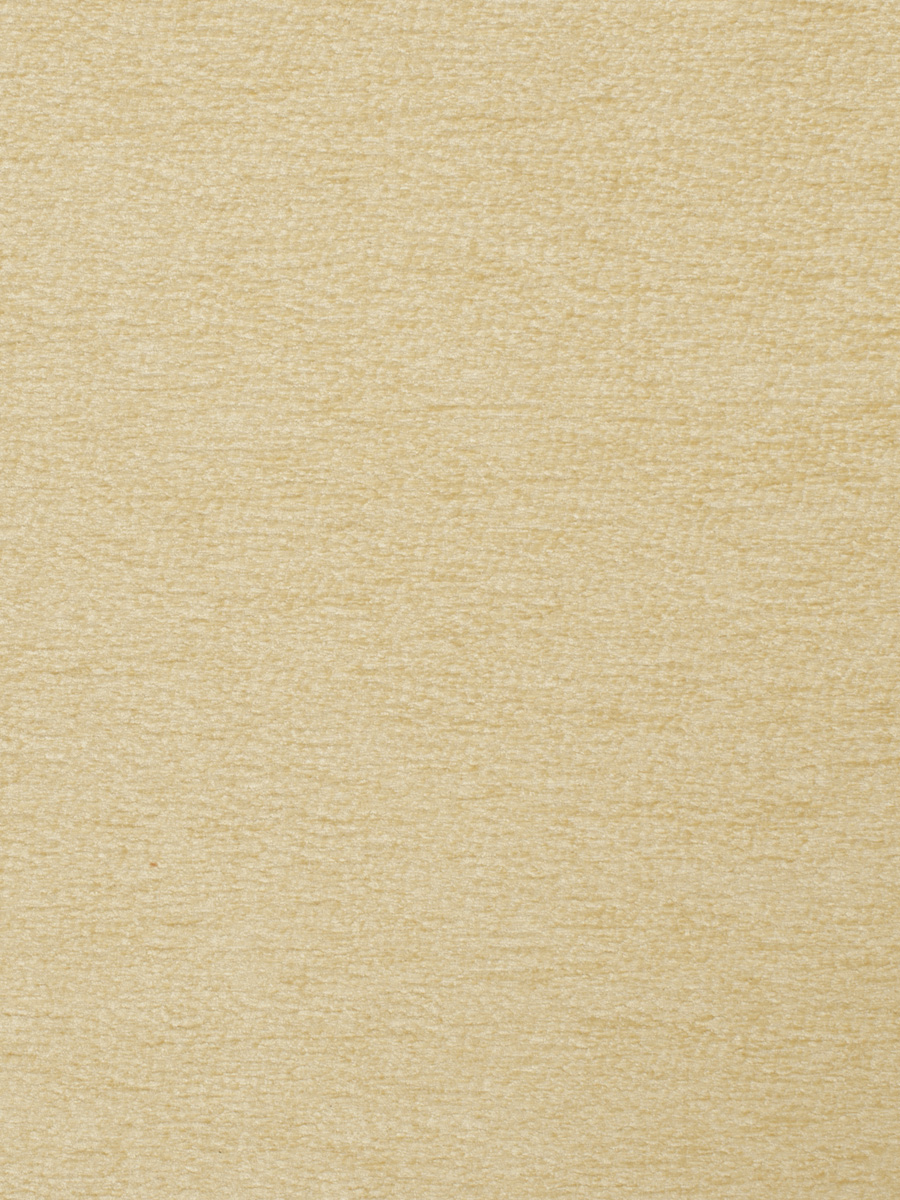 Shar Pei – Parchment