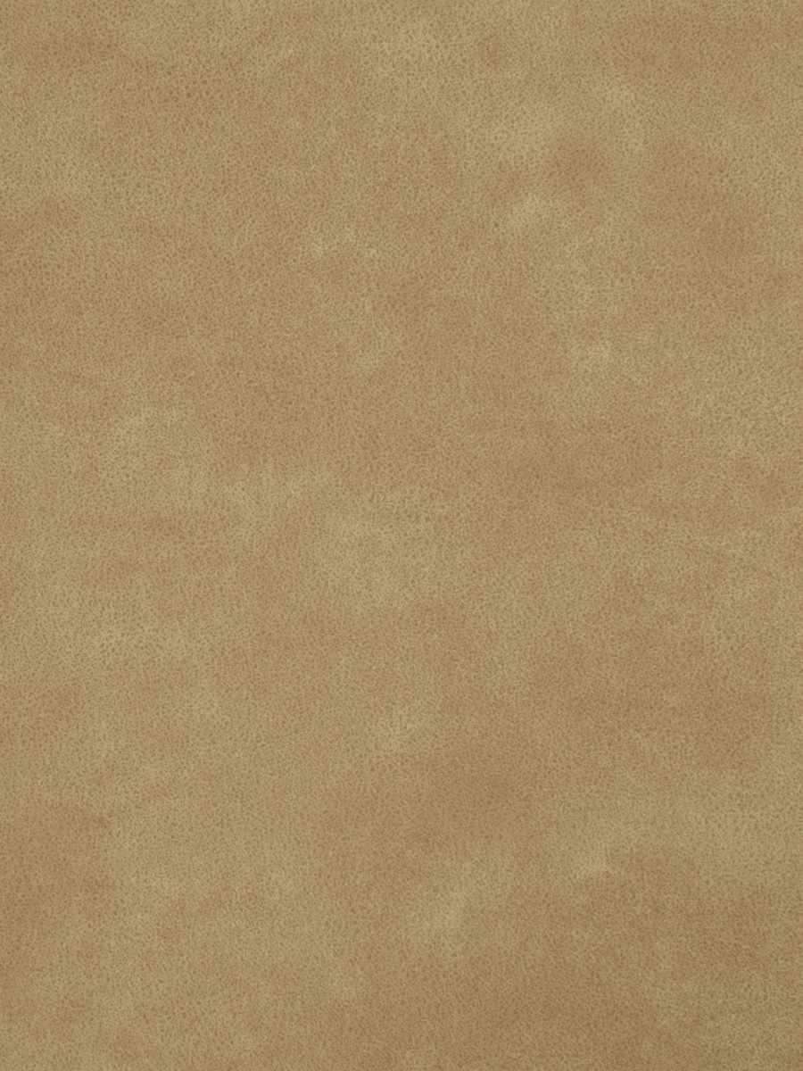 Cosmopolitan – Antelope