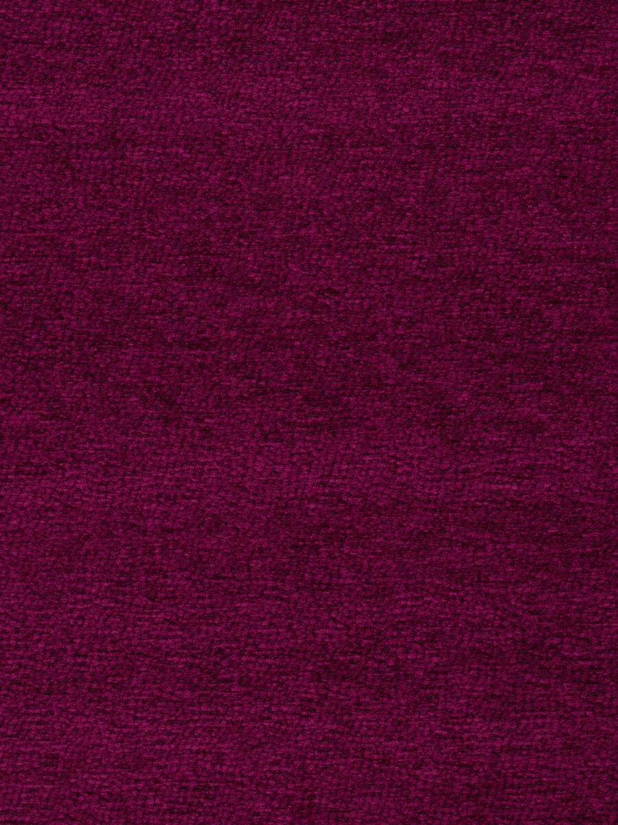Shar Pei – Magenta
