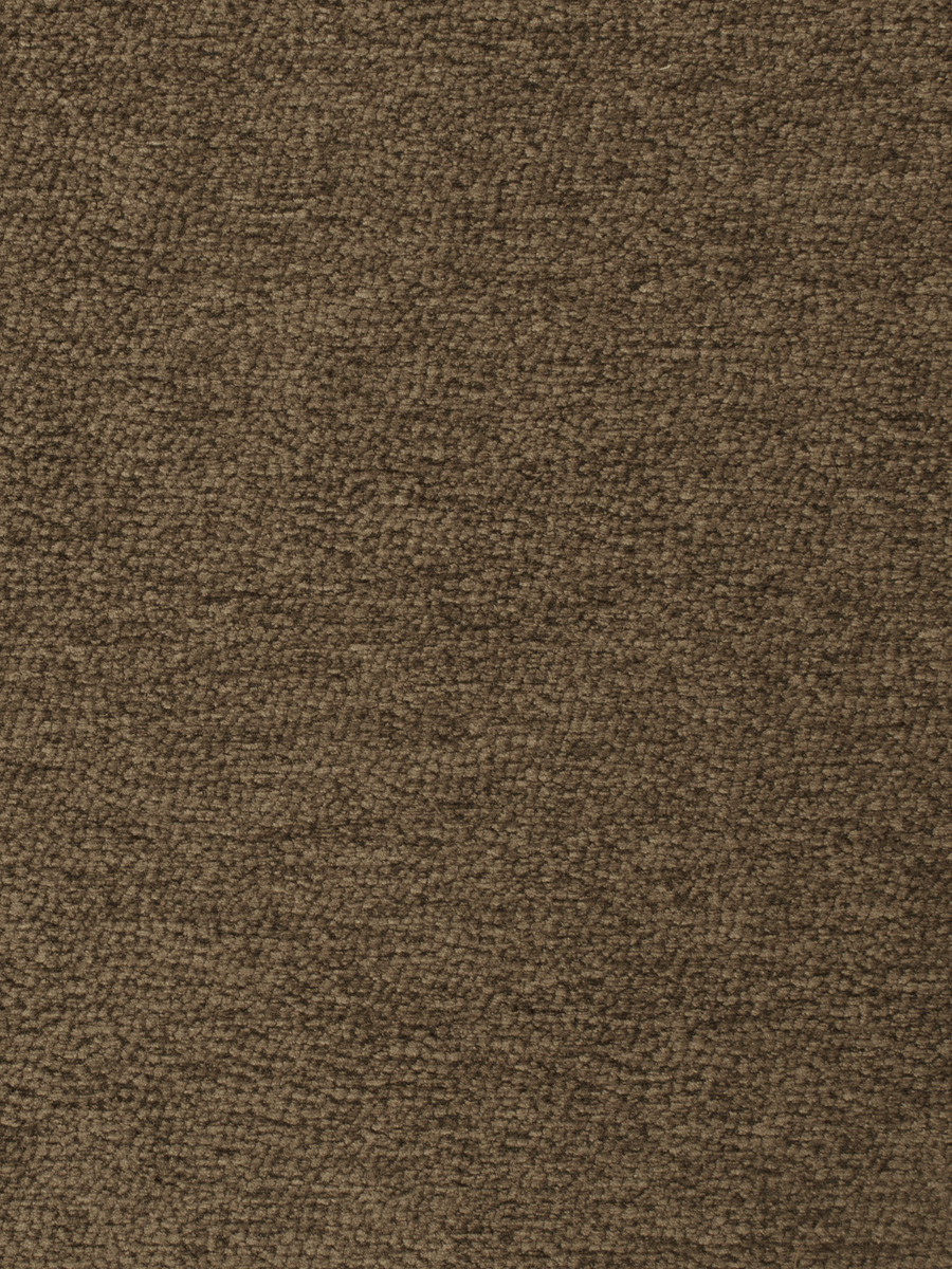 Shar Pei – Mocha