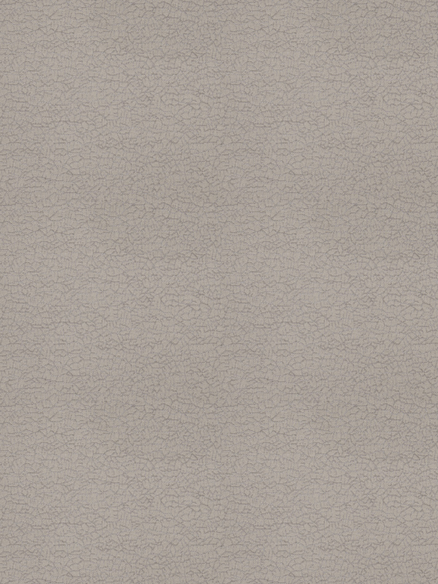 Olmo – Dove