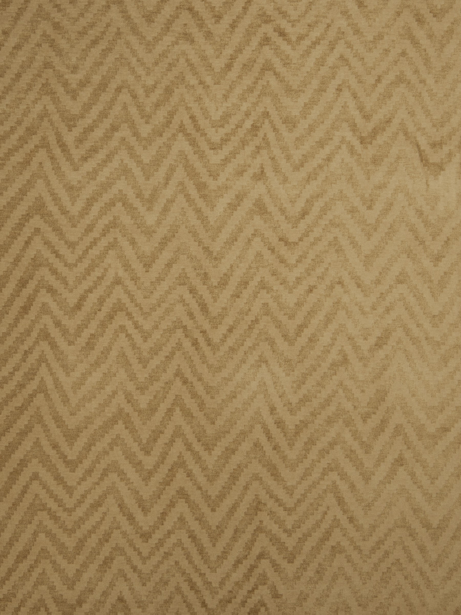 Max Chevron – Camel
