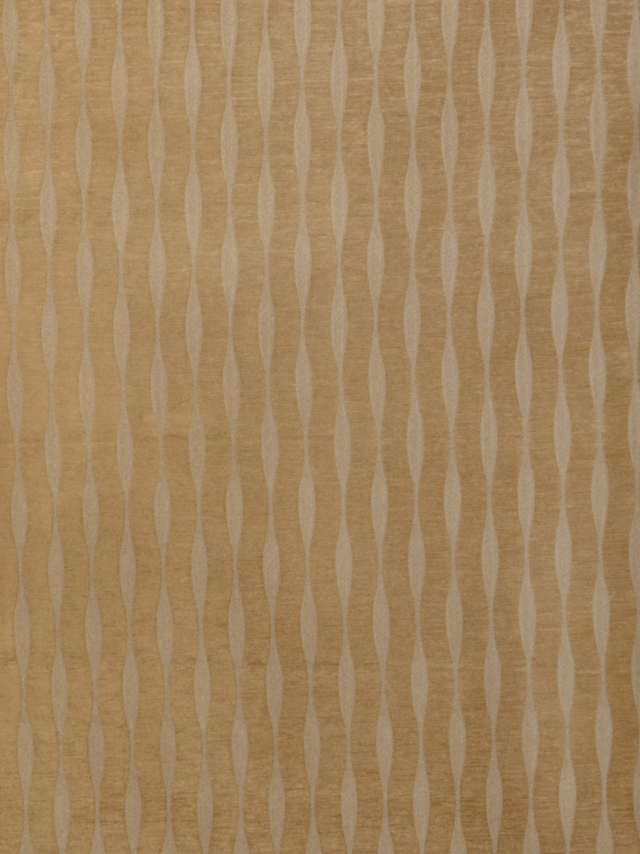 Curves – Camel