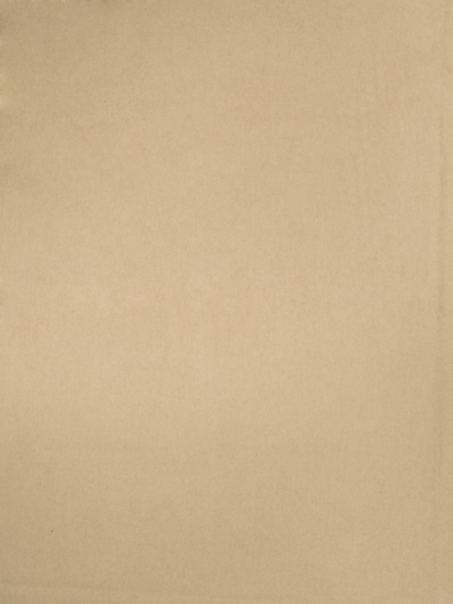 Divine Wool – Camel