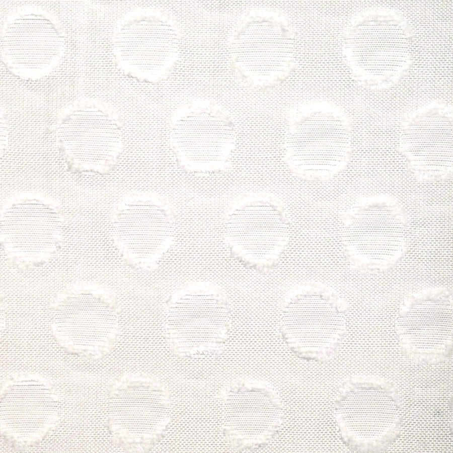 Spot Dot – Coconut