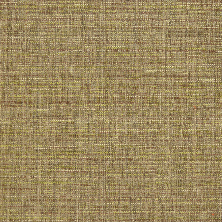 Canvas – Cactus