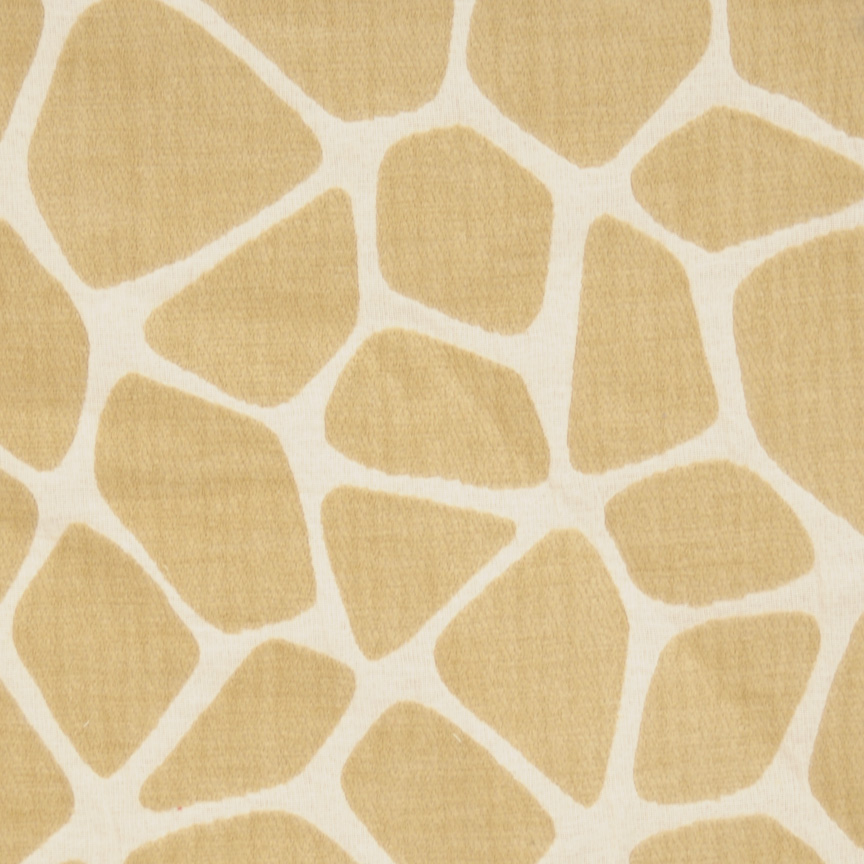 Giraffe – Sahara