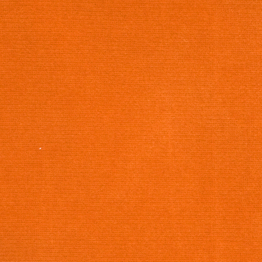 Elan Velvet – Apricot