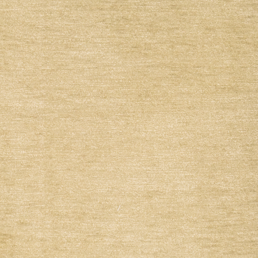 Aquarelle – Pelican