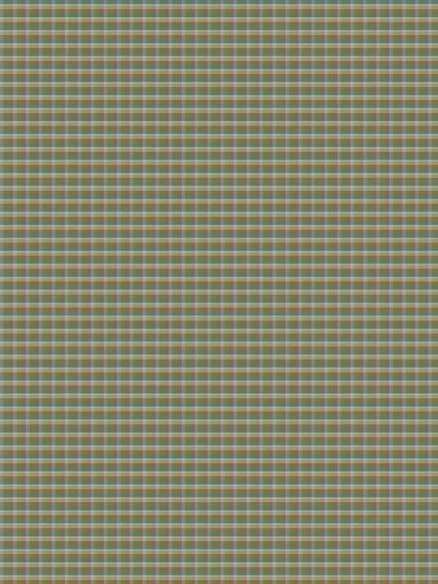 Ponza Silk Check – Meadow