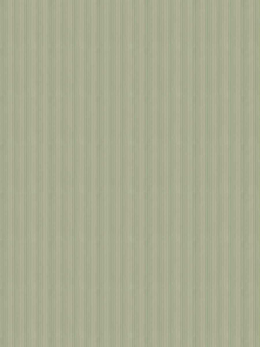 Nettuno Silk Strie – Celery