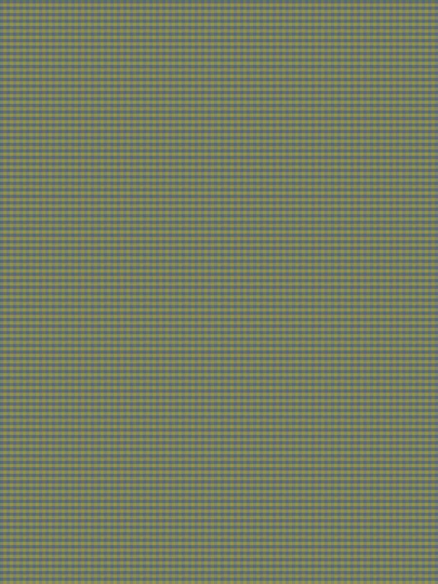 Caprera Silk Check – Blue / Kiwi