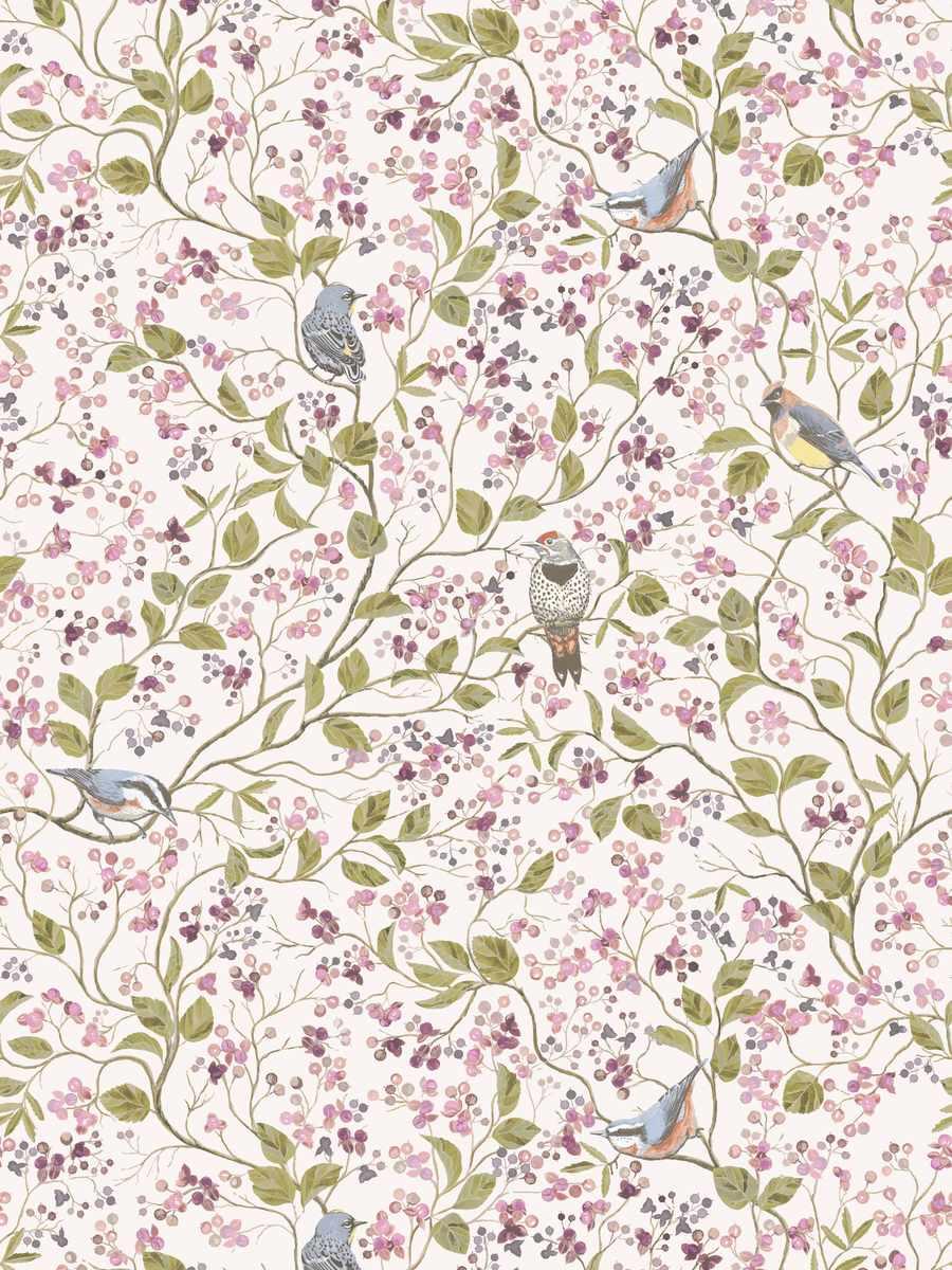 Birds & Bittervine – Belle’s Nose