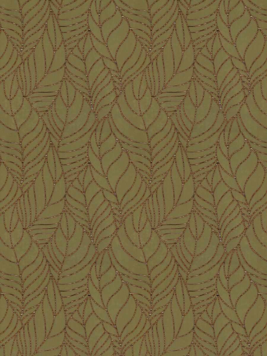 Tree Canopy – Fandango