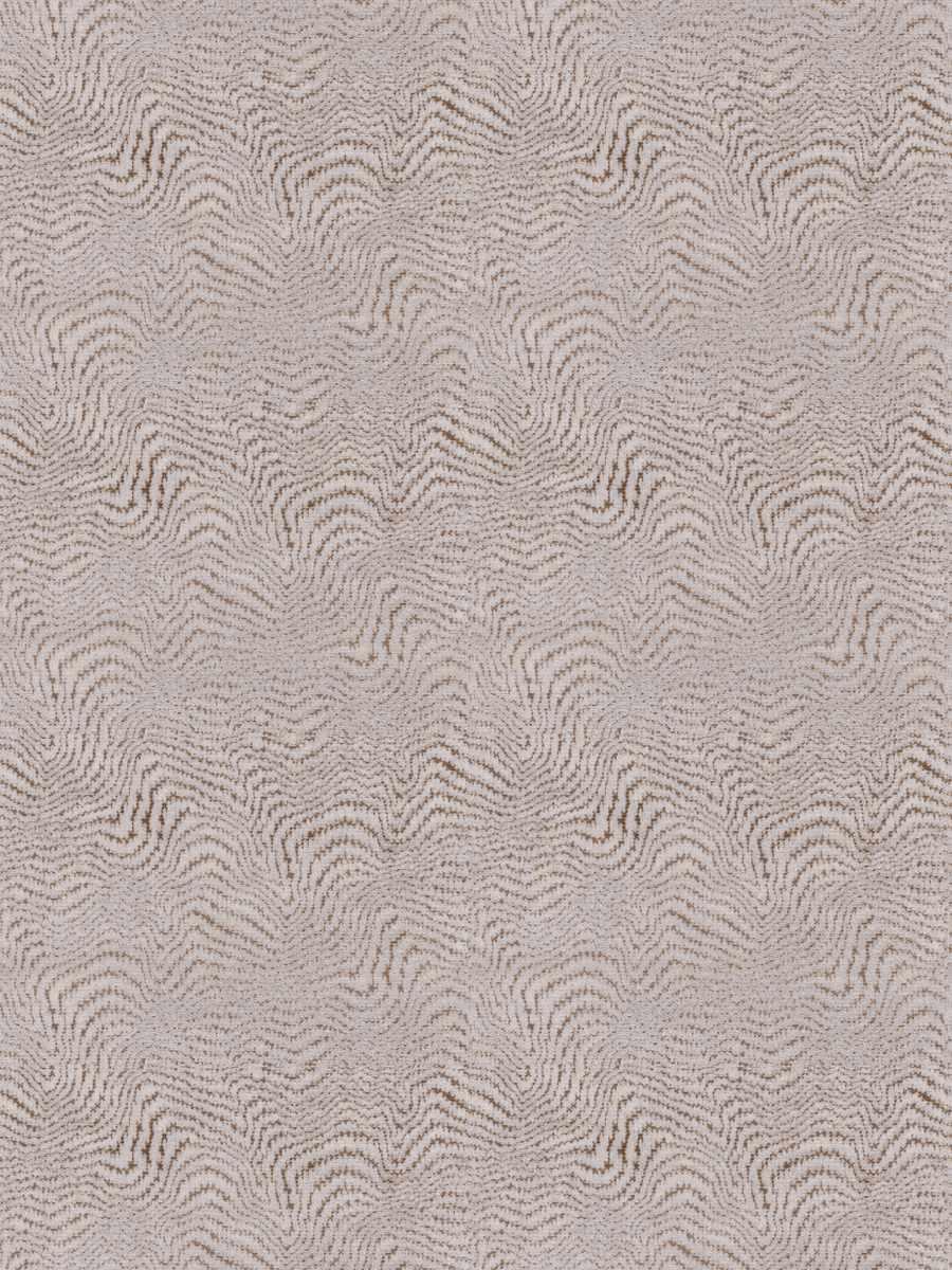 Velvet Echo – Cochin Shell