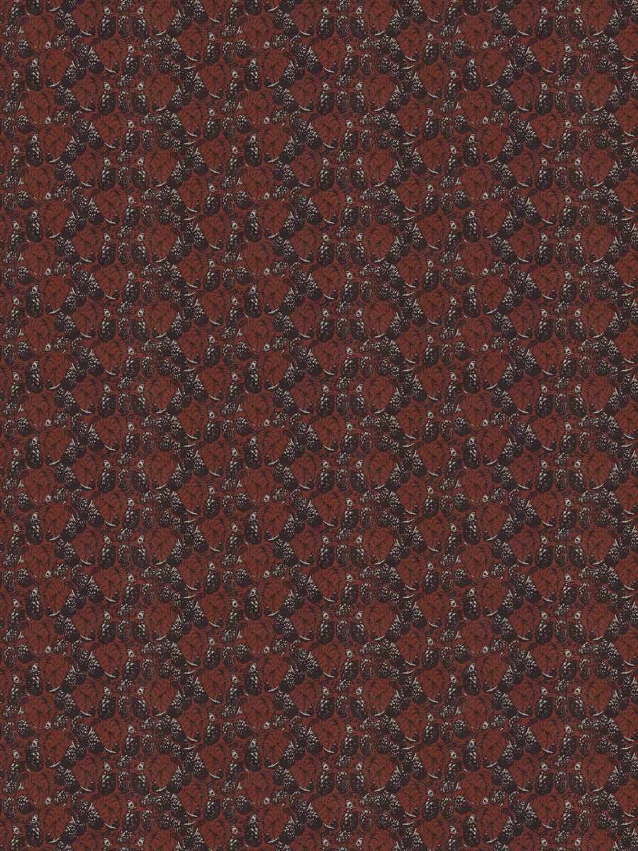 Berrymore – Poppy
