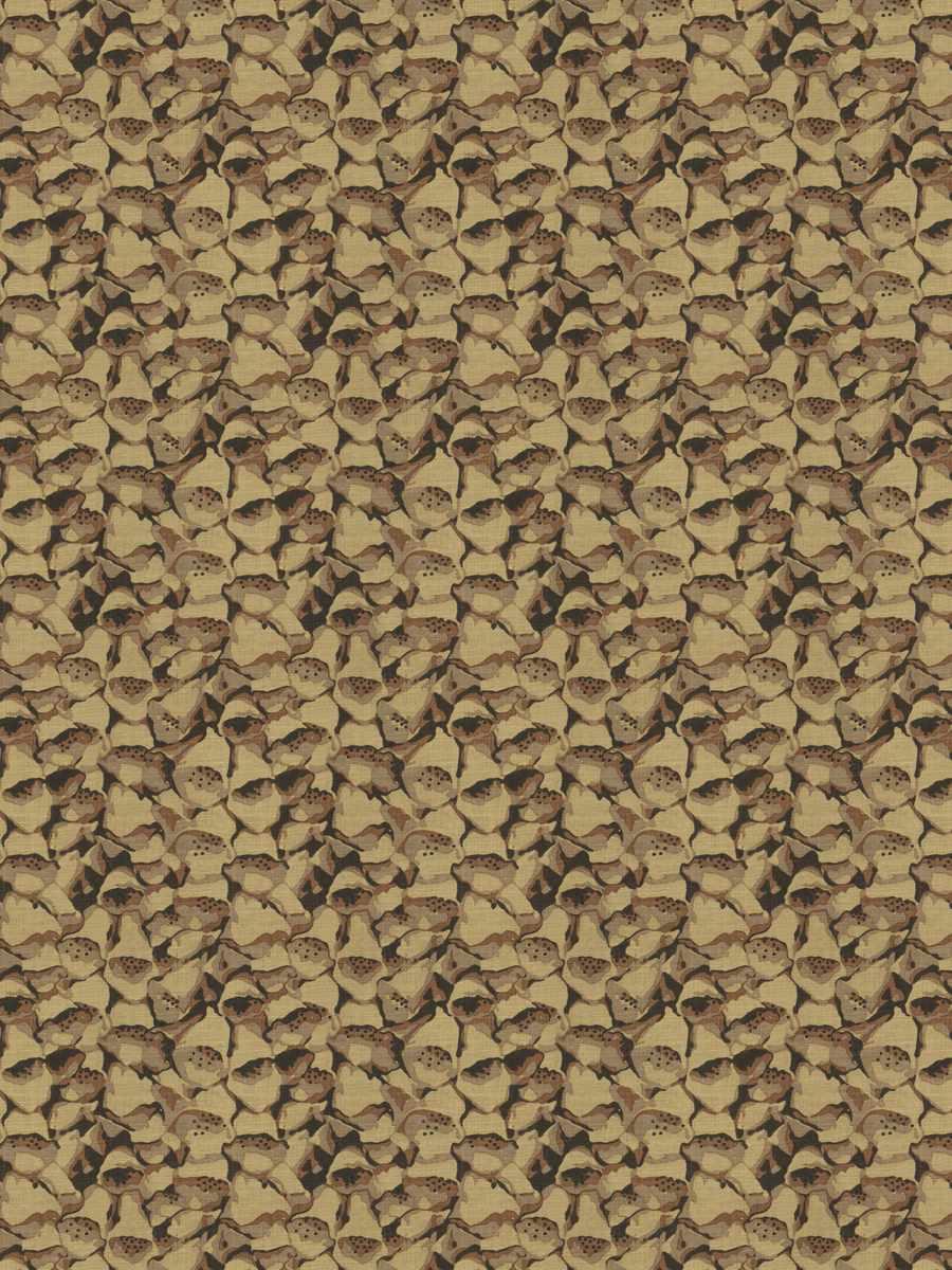 Foxy – Grain