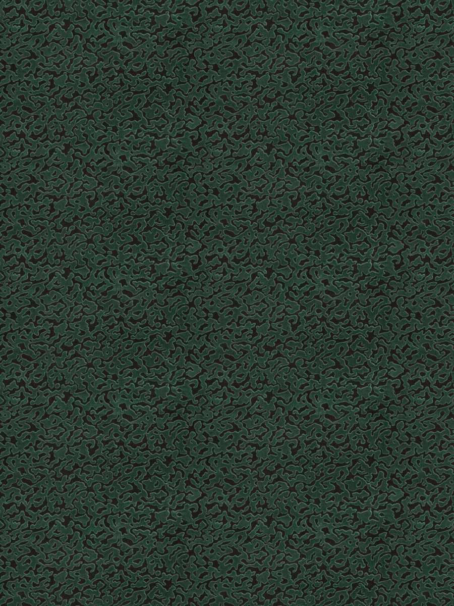 Campaign – Malachite