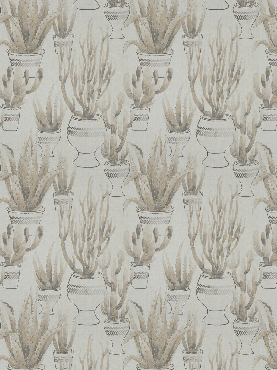 Desert Flora – Sand Mica