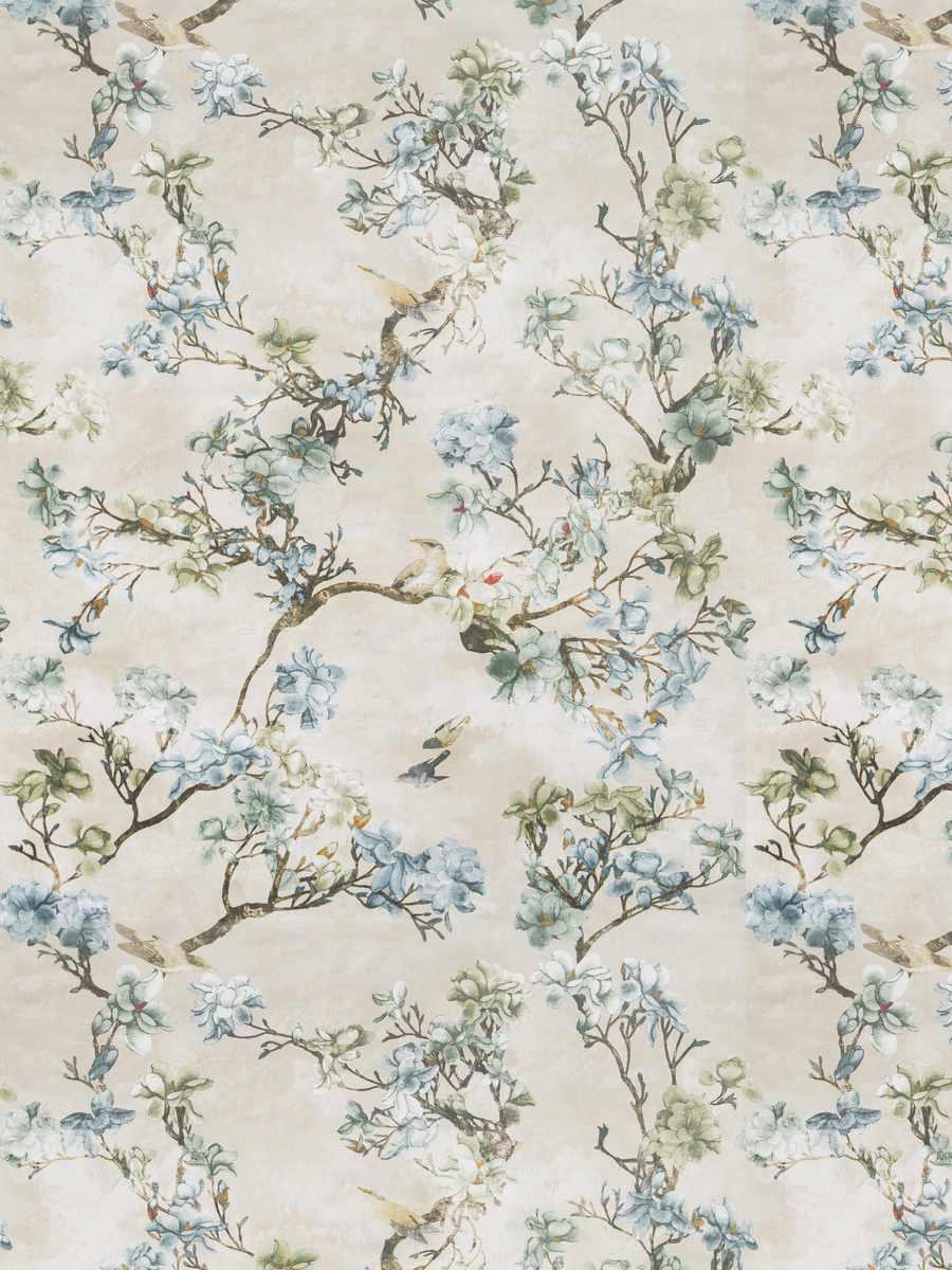 Sakura – Rainforest