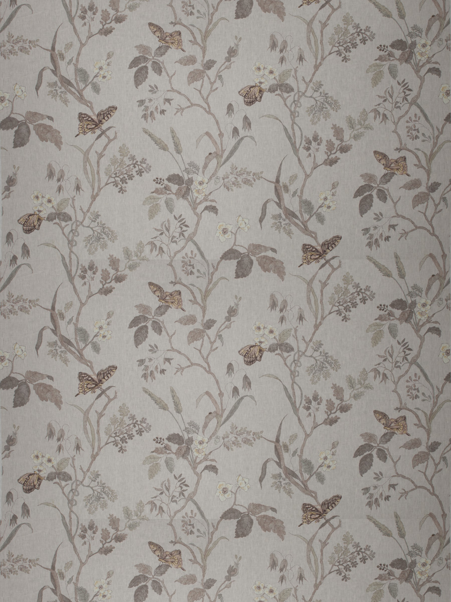 Monarch Bd – Wild Buck