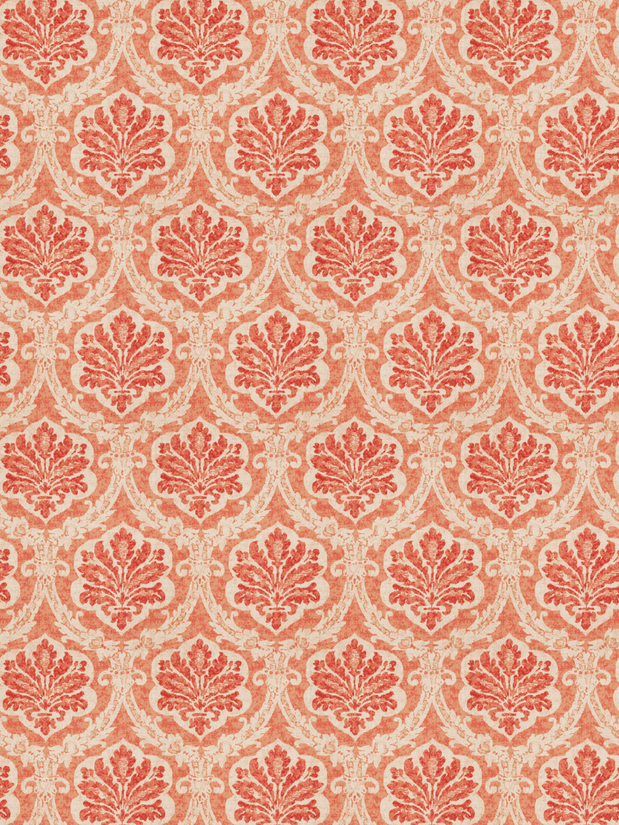 Nova Pachora – Primrose
