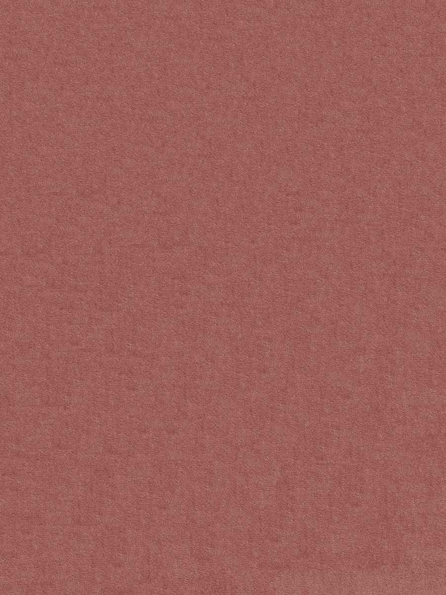 Silk Velvet – Carnation