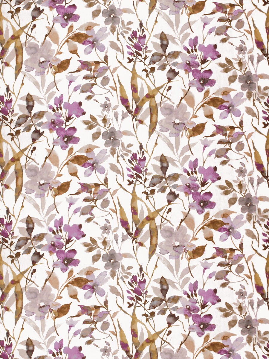 Amiliana – Orchid