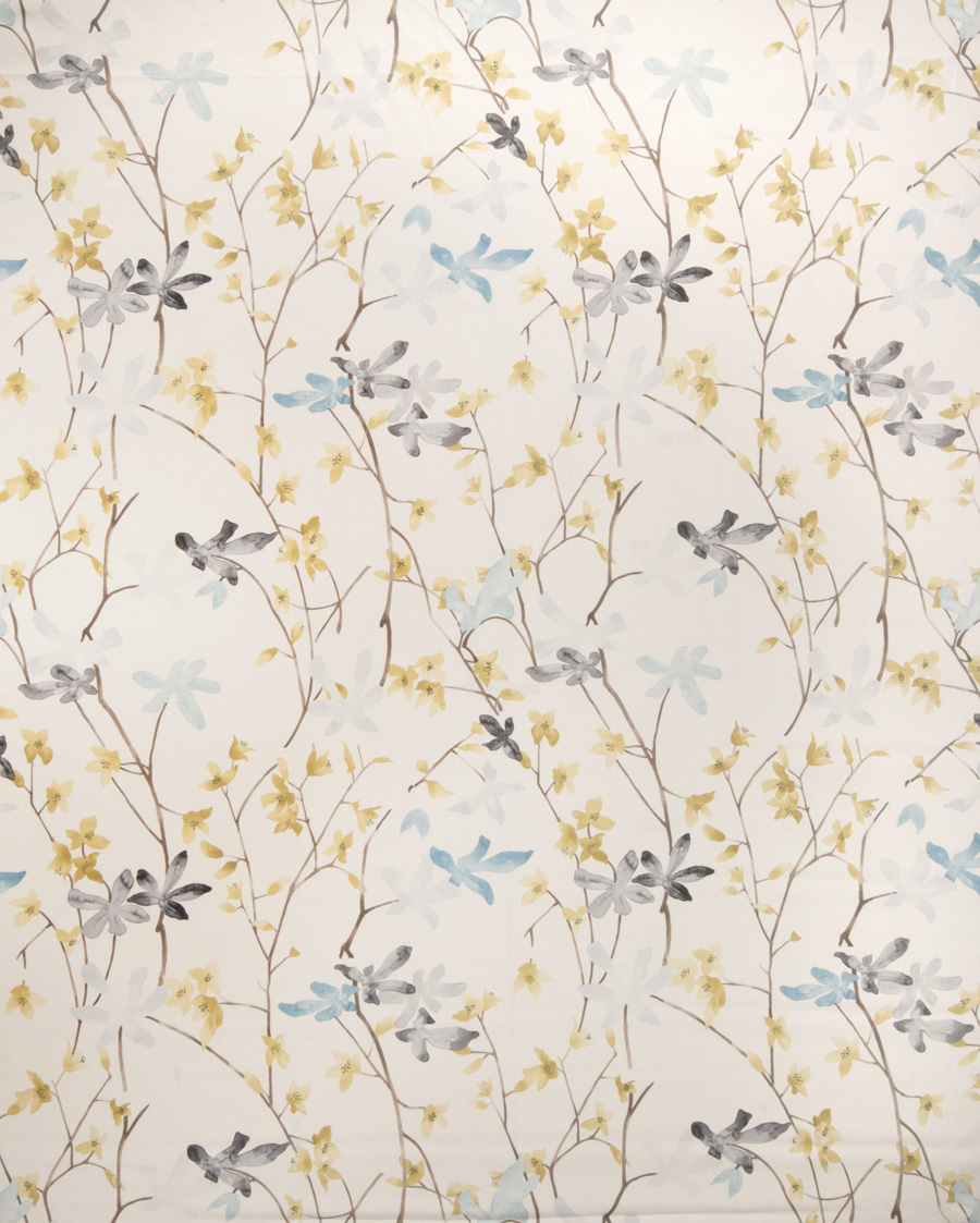 Flora And Fauna – Wildflower