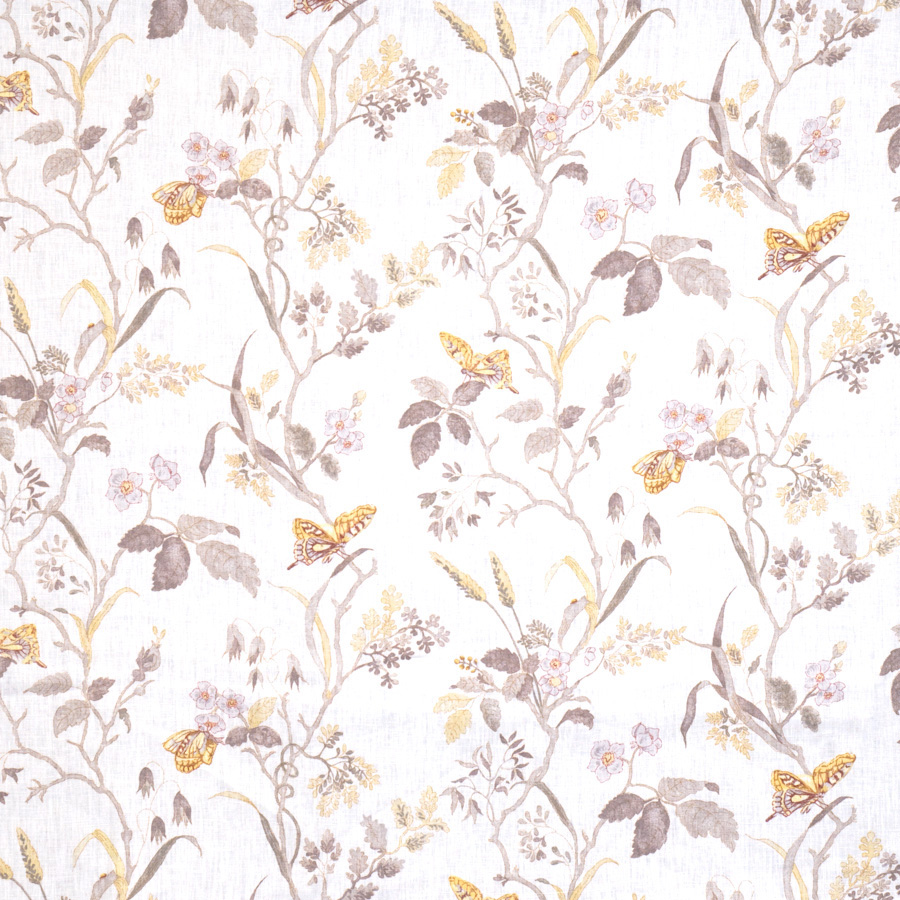 Papillon – Lemon
