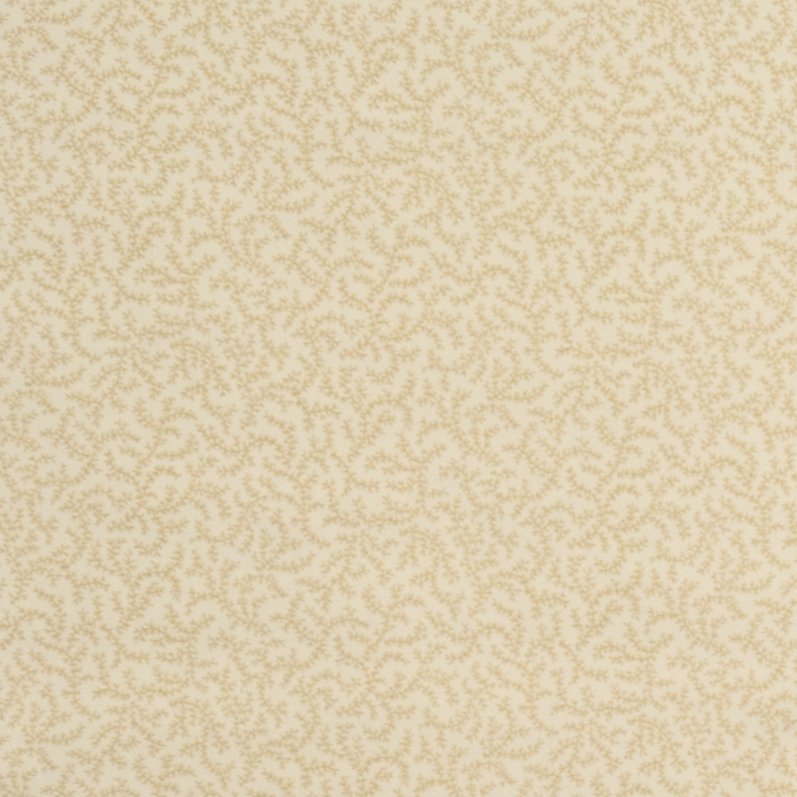 Petit Fougere – Straw