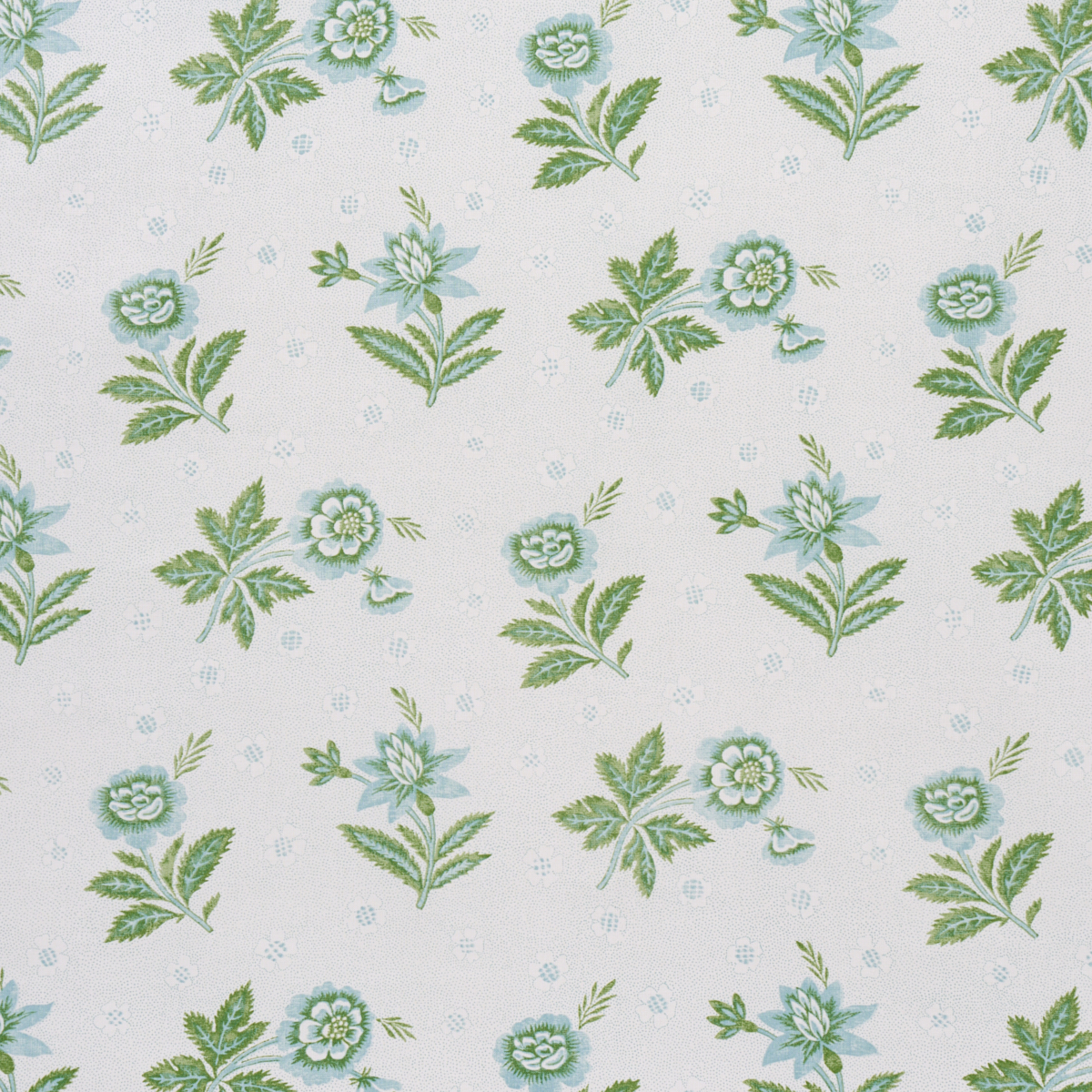 COLLINE – LEAF & AQUA