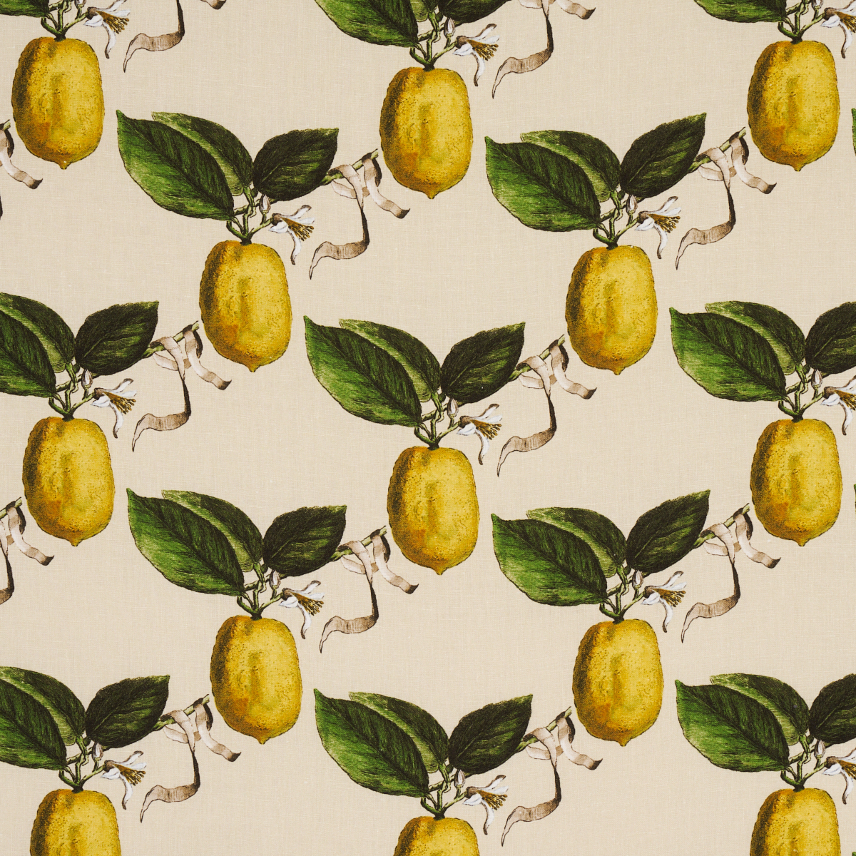 LE CITRON – NATURAL