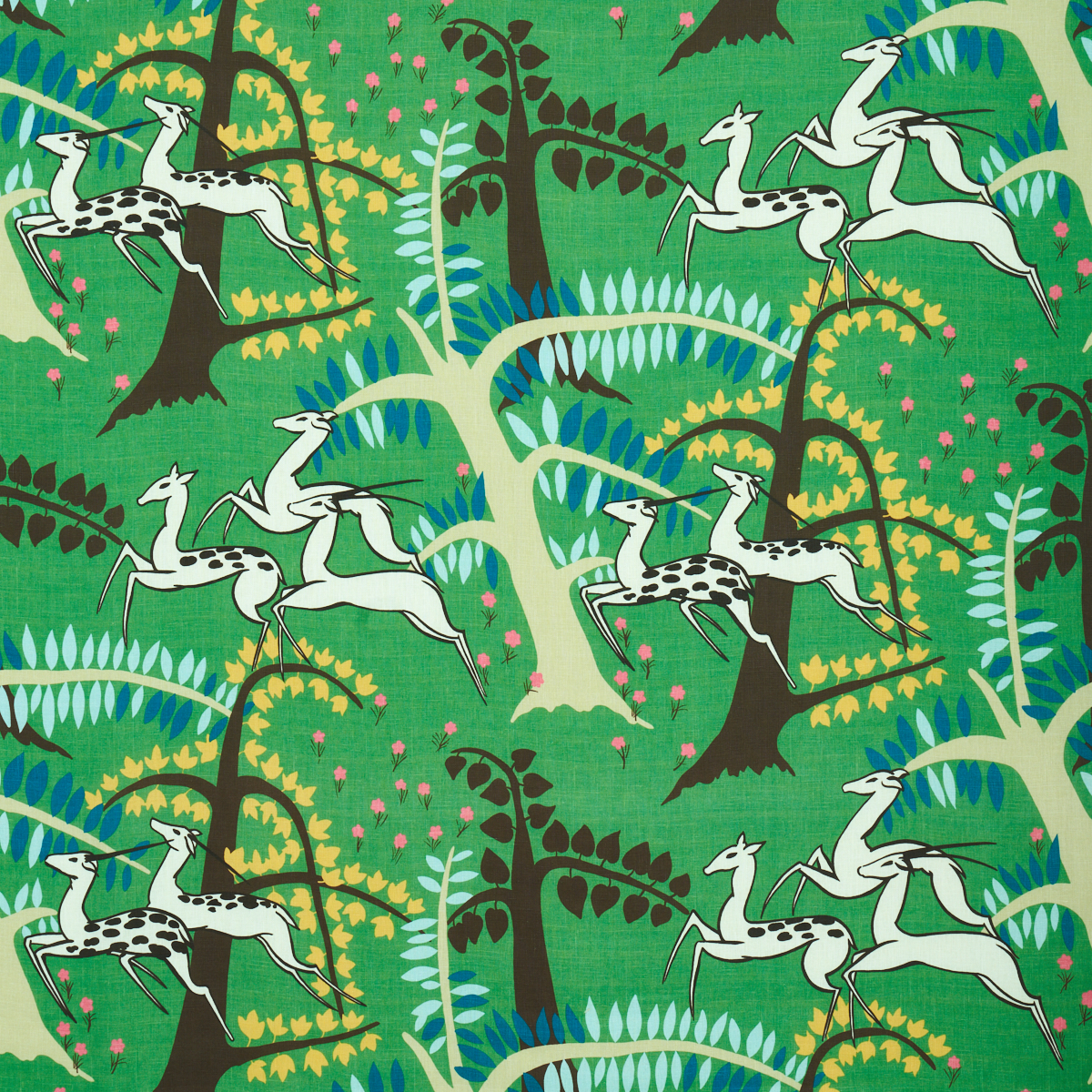 ANTELOPES – JADE