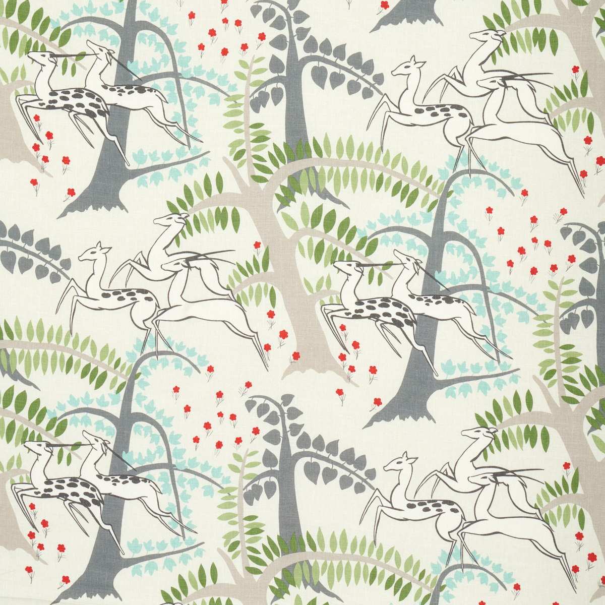 ANTELOPES – IVORY