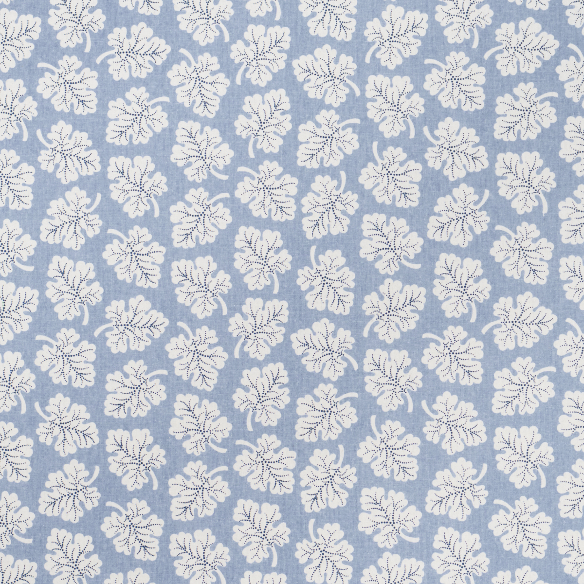 OLIVE – SKY