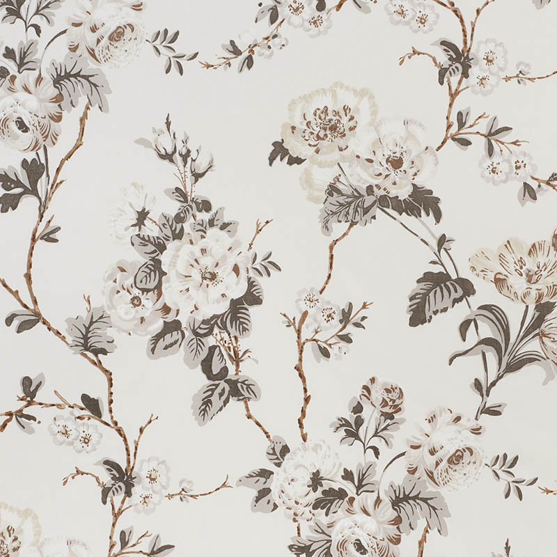 BETTY CHINTZ – CHARCOAL