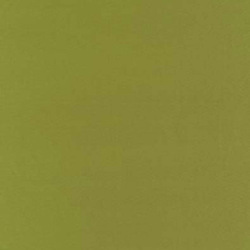 BOTTICELLI SILK TAFFETA – APPLE
