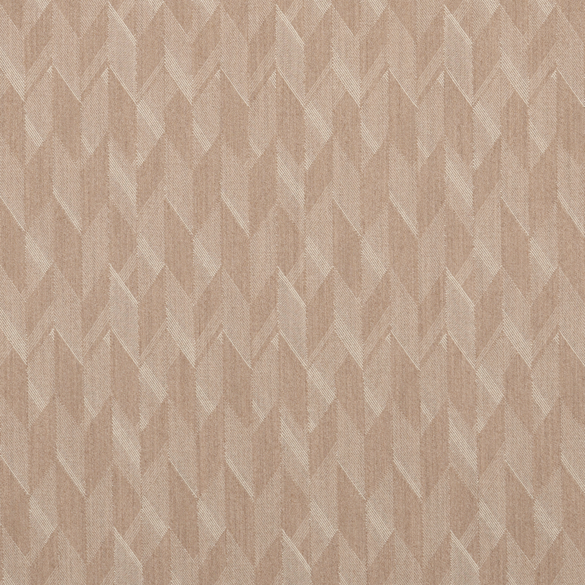 EZRA WOOL – CAMEL