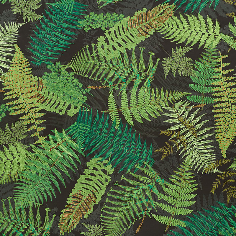 FERNARIUM – GREEN & BLACK