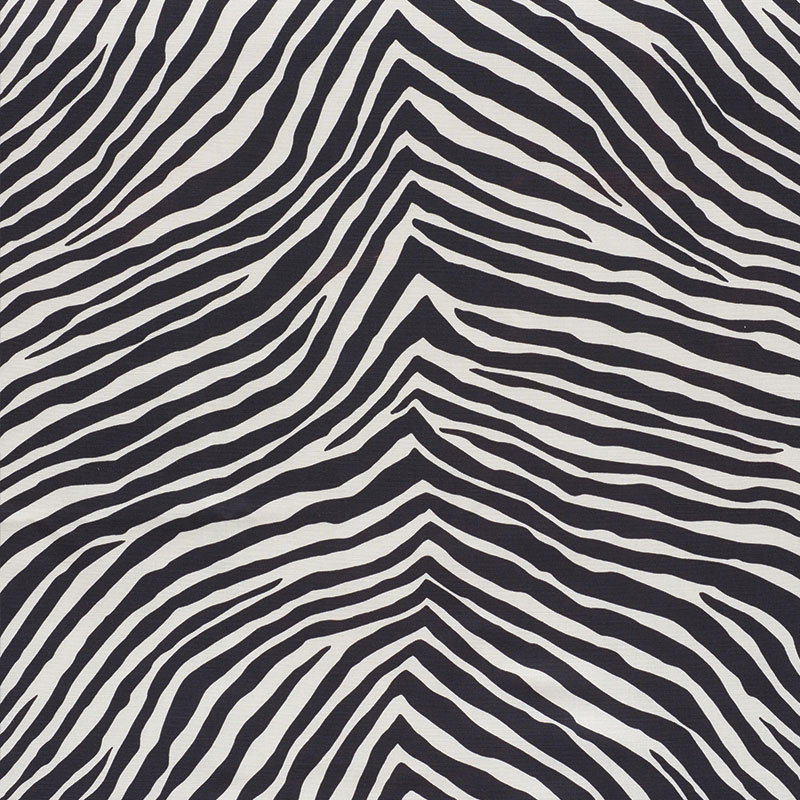 ICONIC ZEBRA – BLACK