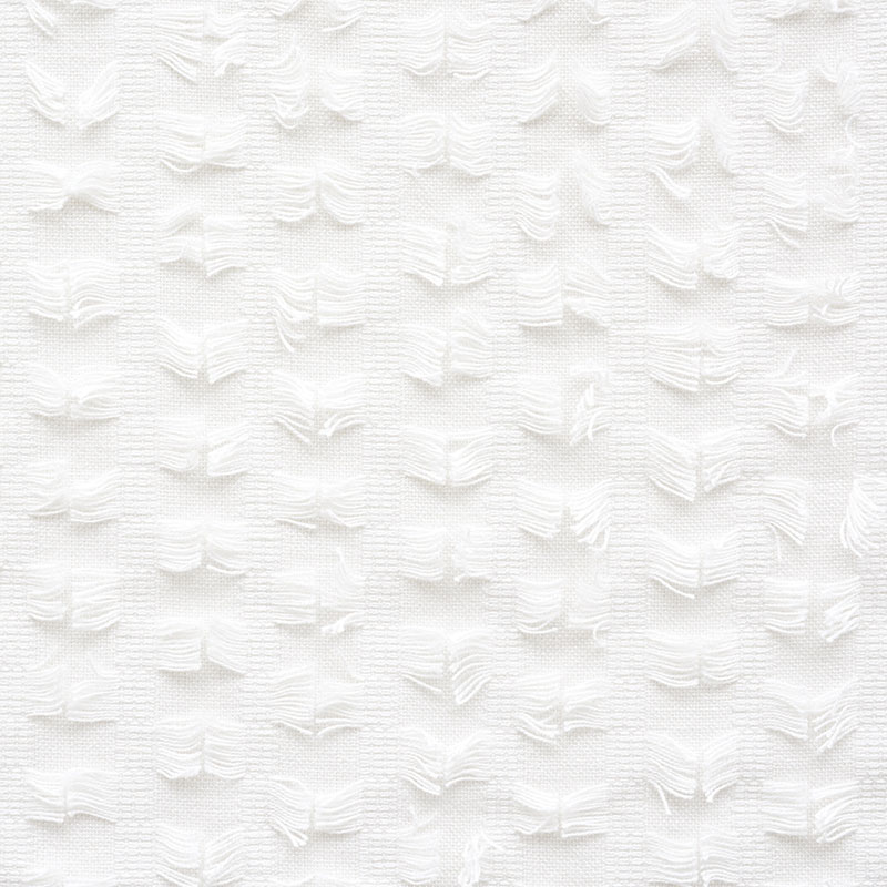MONTEGO FRINGE – SNOW