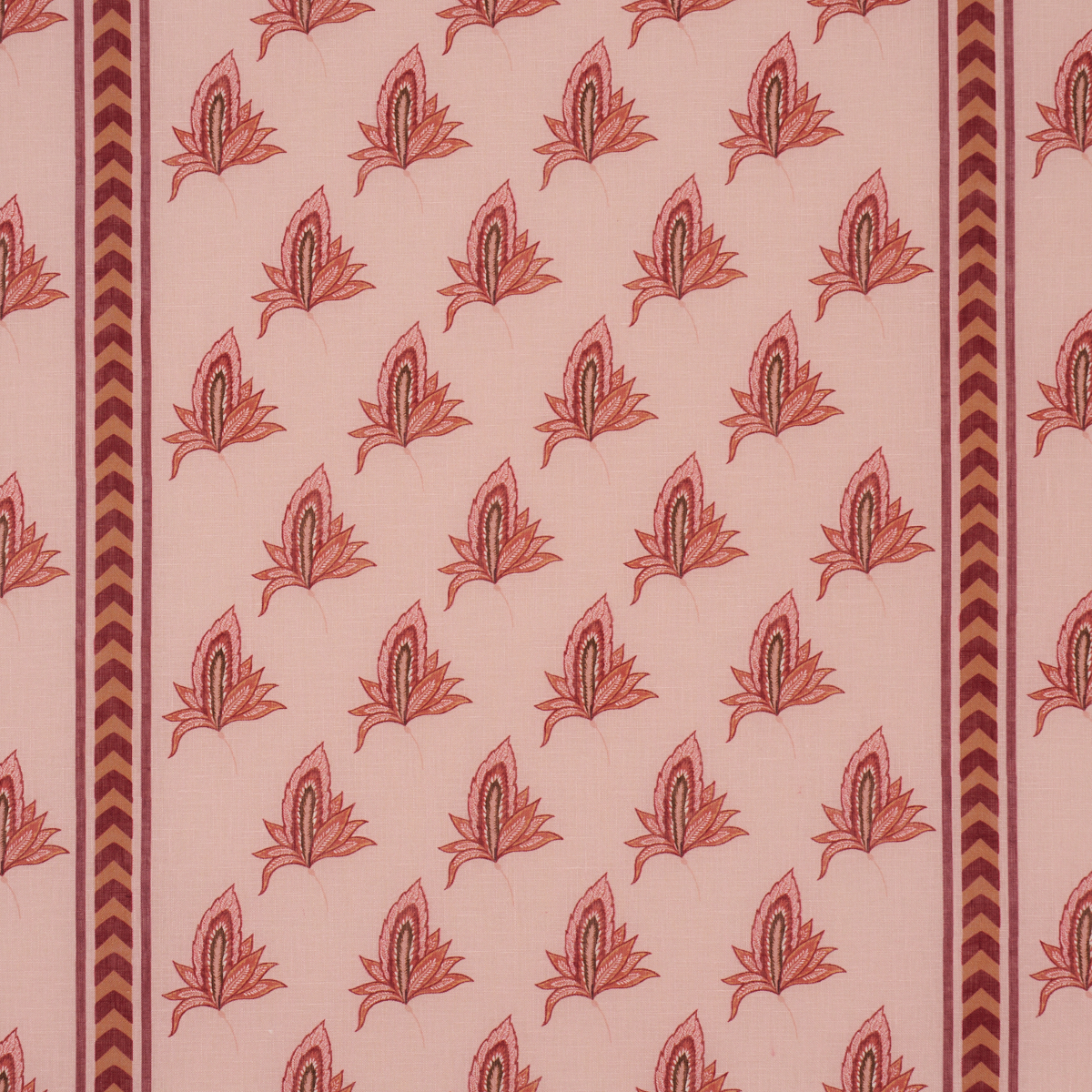 BANGALORE IMAGINATION – ROSE