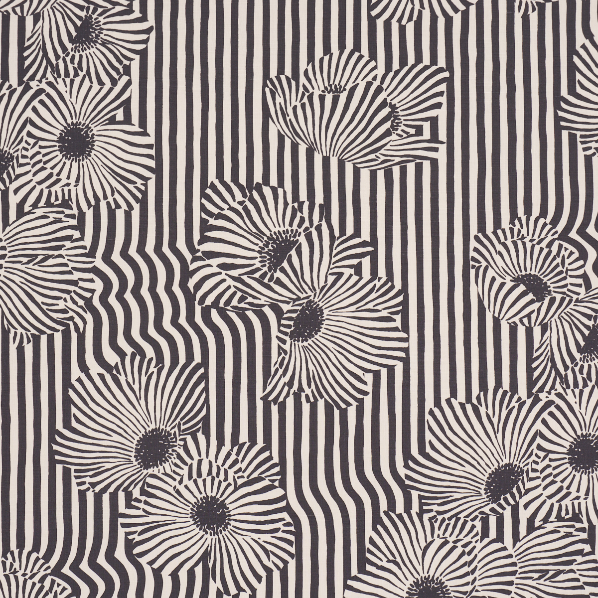 CHANEY FLORAL – CARBON