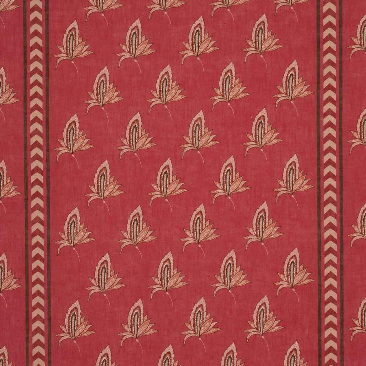 BANGALORE IMAGINATION – ROUGE