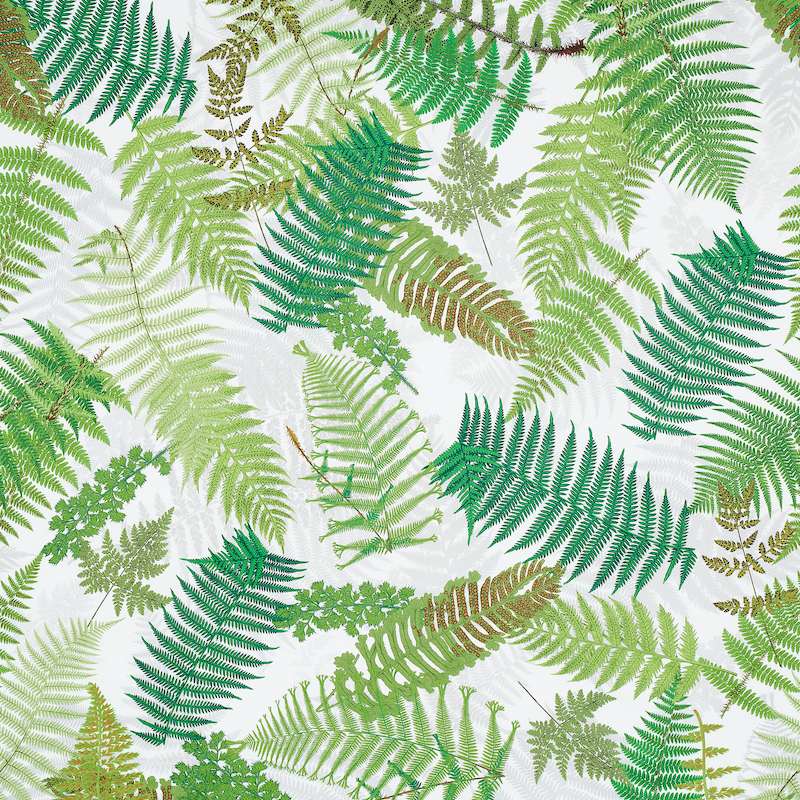 FERNARIUM – GREEN & IVORY