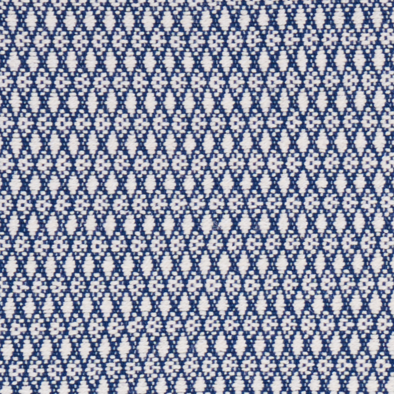 ZOILA – BLUE