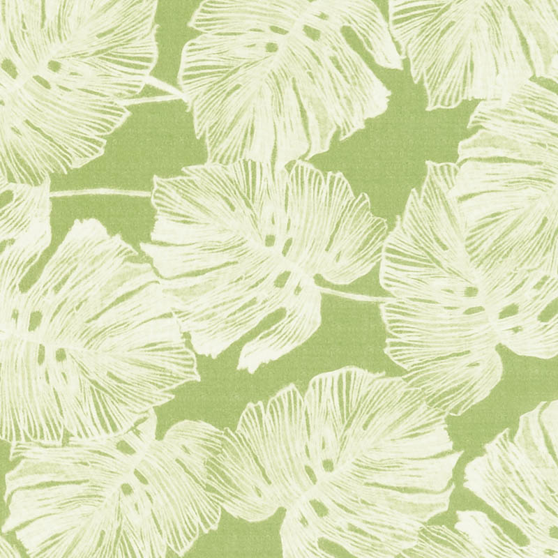 DEL COCO SHEER – LEAF