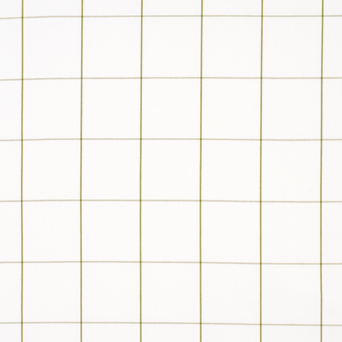 WOODMAN CHECK – OLIVE